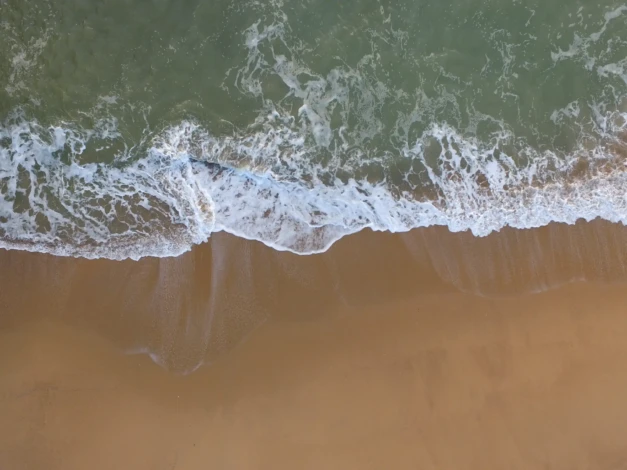 Metric Tide